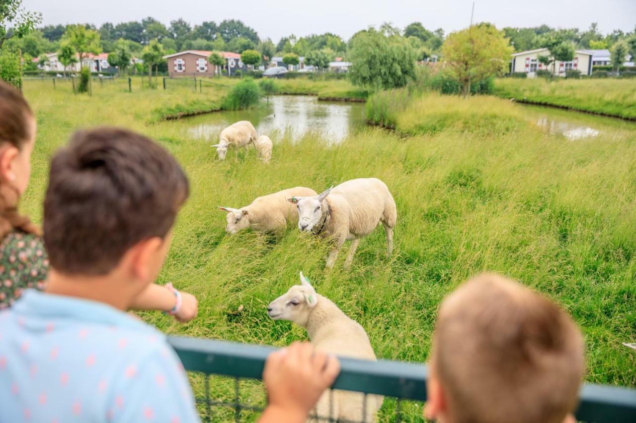 Camping Scheldeoord Baarland Esterno foto