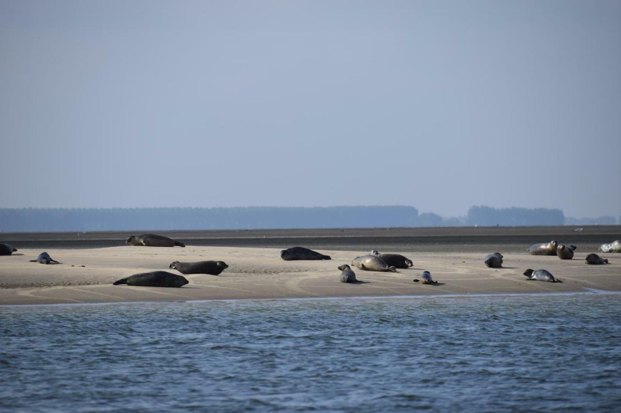 Camping Scheldeoord Baarland Esterno foto